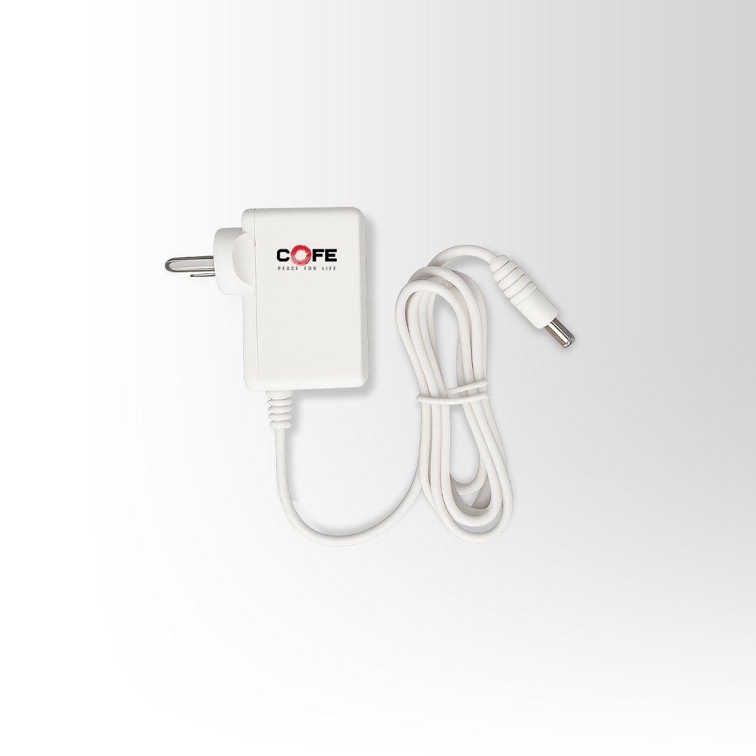 12V/1A Power Adaptor